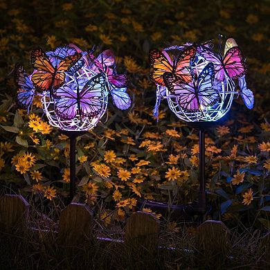 Outdoor Solar Garden Lights - 2 Pack Solar Powered Garden Stake Lights