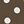 Brown Polka