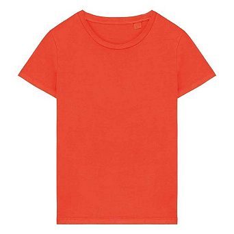 Native Spirit Womens/Ladies Faded Washed T-Shirt