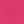 Hibiscus Pink