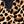 Leopard Print