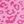 Hot Pink Leopard
