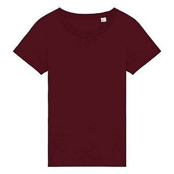Native Spirit Womens/Ladies T-Shirt