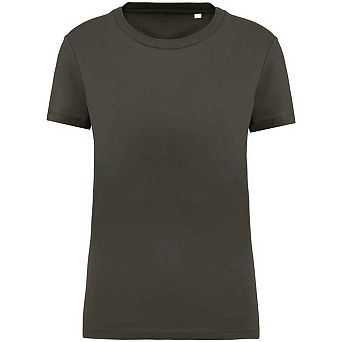 Native Spirit Womens/Ladies T-Shirt