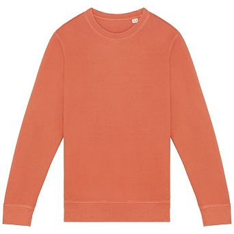 Native Spirit Unisex Adult French Terry Sweatshirt