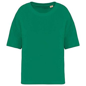 Native Spirit Womens/Ladies Terrycloth T-Shirt