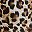 Orange Black Leopard