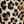Rose Red Black Leopard