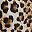 Rose Red Black Leopard