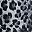 Rose Red Grey Leopard