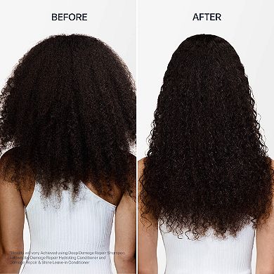 Deep Damage Repair Mini Trio Hair Set