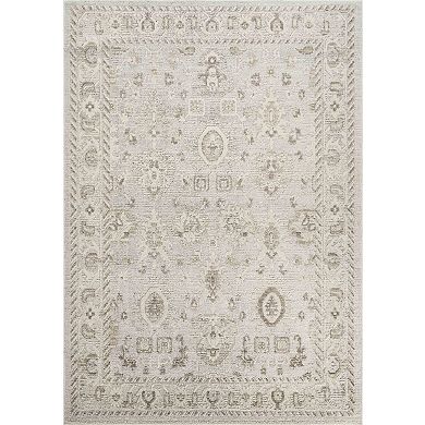 Abani Rugs NRA100A Traditional Medallion Pattern Slate Grey Area Rug