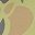 Green Duck Camo