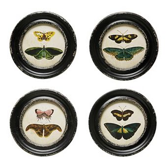 Hello Honey Moth and Butterfly Framed Wall Decor, Multicolor, Set of 4