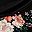 Balck Orange Flowers