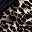 Black Leopard