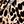 Brown Leopard