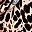Brown Leopard