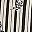 Ivory Gray Black