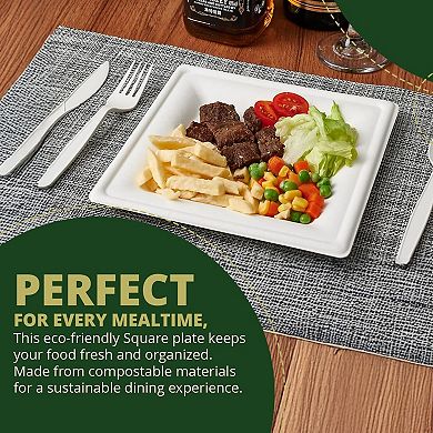 6" Square Biodegradable Plate