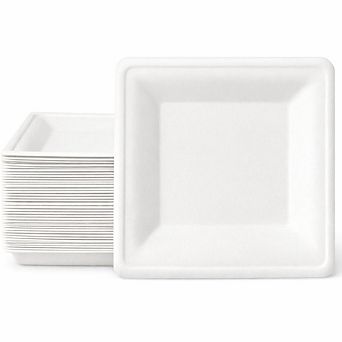 10 in Square Biodegradable Plate 50 Pack