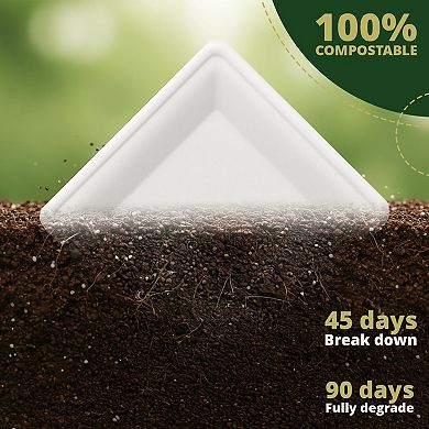 10in Square Biodegradable Plate 50 Pack