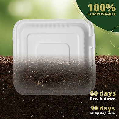 Clam Shell Containers 8x8