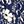 Khaki Dark Blue