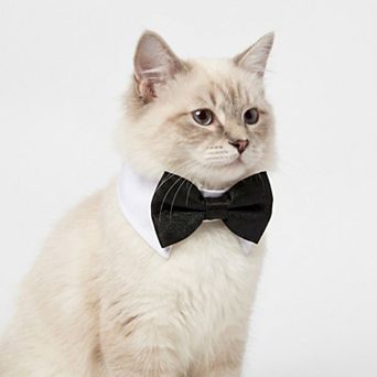 Pet Holiday Crochet Collar and Bowtie Set for Cats and Dogs Adjustable and Festive