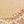 Champagne