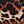 Brown Leopard