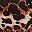 Brown Leopard
