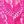 Hot Pink