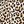 Brown Leopard