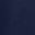 New French Navy