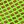 Neon Green
