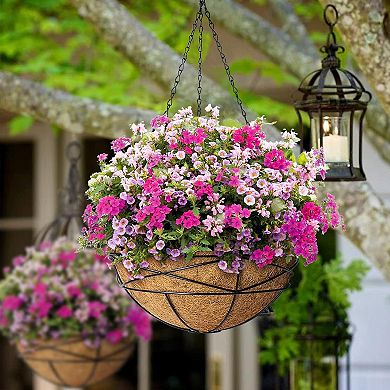 Hanging Planters for Outdoor Plants, Metal Chain Hanging Baskets with Coco Liner, Flower Pots