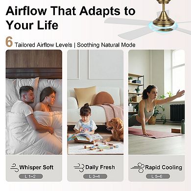48 Inch Smart Indoor Control Ceiling Fan with Light and Remote DC Motor Quiet Fan by GRANDJOY