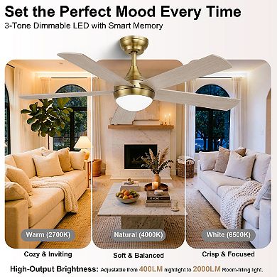 48 Inch Smart Indoor Control Ceiling Fan with Light and Remote DC Motor Quiet Fan by GRANDJOY