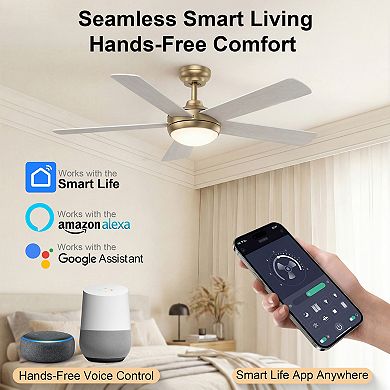 48 Inch Smart Indoor Control Ceiling Fan with Light and Remote DC Motor Quiet Fan by GRANDJOY