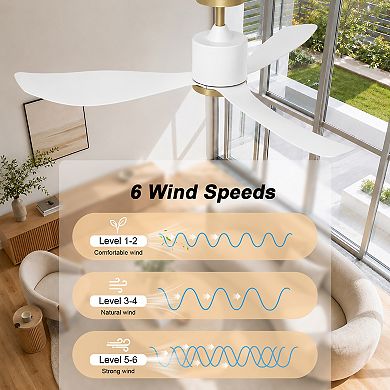 52 Inch Ceiling Fan with Light Remote Control Energy Efficient DC Motor 4CCT Dimmable by GRANDJOY