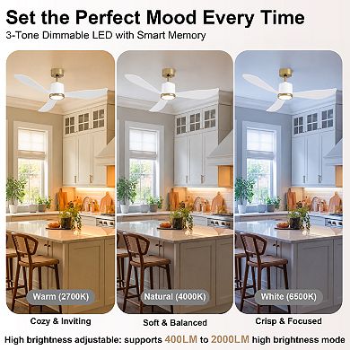 52 Inch Ceiling Fan with Light Remote Control Energy Efficient DC Motor 4CCT Dimmable by GRANDJOY