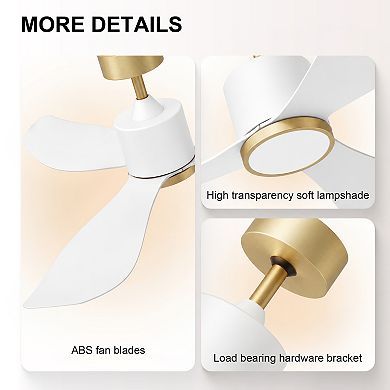 52 Inch Ceiling Fan with Light Remote Control Energy Efficient DC Motor 4CCT Dimmable by GRANDJOY