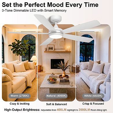 52 Inch Ceiling Fan with Light Smart Control for Bedroom Living Room by GRANDJOY