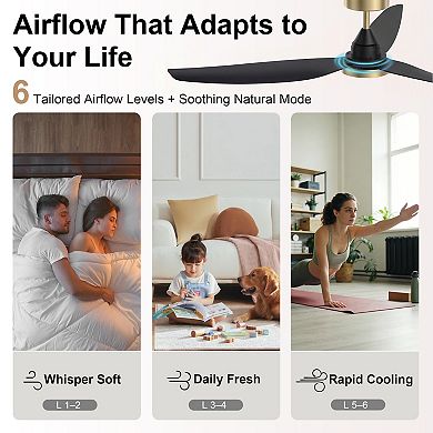 54 Inch Ceiling Fan with Light and Remote Energy Efficient Quiet DC Motor 3CCT Dimmable by GRANDJOY