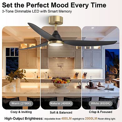 54 Inch Ceiling Fan with Light and Remote Energy Efficient Quiet DC Motor 3CCT Dimmable by GRANDJOY