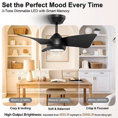 30 Inch Ceiling Fan with Light and Remote DC Motor 3CCT Dimmable Memory LED by GRANDJOY