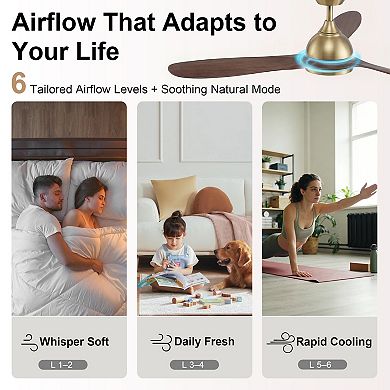 52 Inch Indoor Ceiling Fan with Light and Remote DC Motor 3CCT Dimmable Memory LED by GRANDJOY