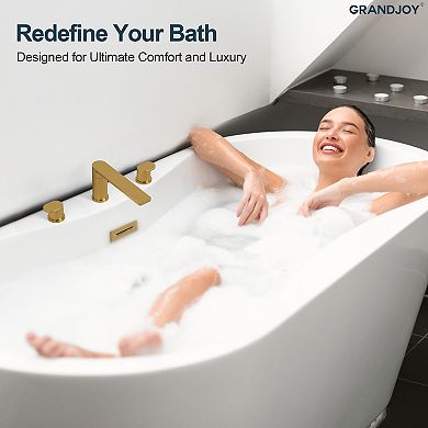 2-Handle Deck-Mounted Low Arc Roman Tub 1-Spray Tub and Shower Faucet