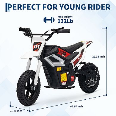 24V 350W Kids Electric Dirt Bike